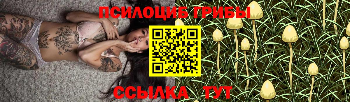 Псилоцибиновые грибы Cubensis  Вход с VPN  Галлюциногенные грибы Psilocybine cubensis  Горячий Ключ 